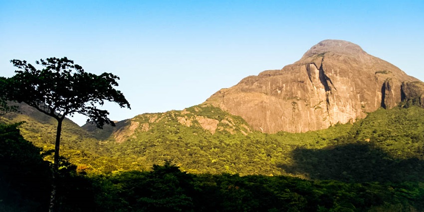 A stunning view of the Agasthyarkoodam Peak during the day with golden rays falling on it.