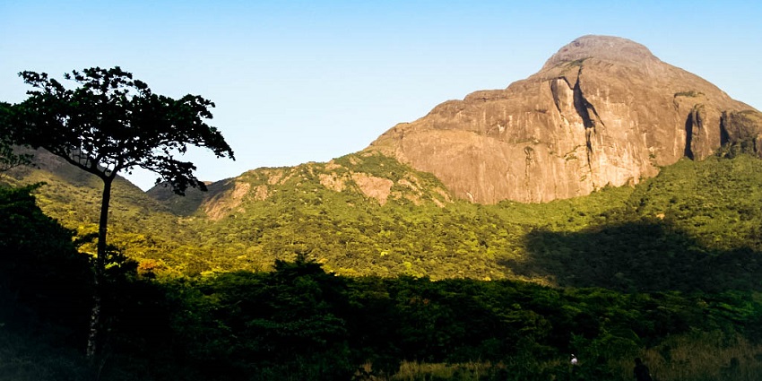 Scenic views of Agasthyakoodam peak surrounded by lush green forests and misty valleys.