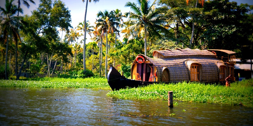 Enjoy boating through the scenic backwaters at Akalapuzha, surrounded by lush greenery.