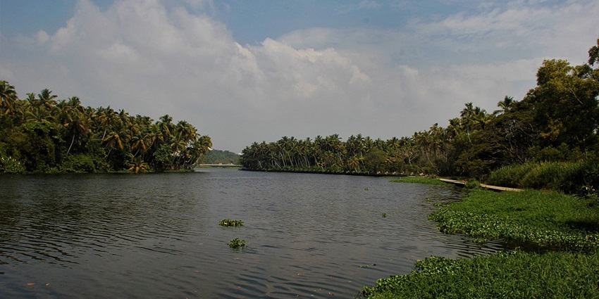 A Scenic View of Akkulam Lake surrounded by the green lush vegetation and Trees