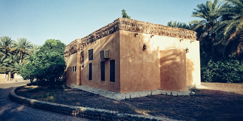 Al Ain Oasis, a UNESCO site, is one of the best places to visit in Abu Dhabi, UAE.