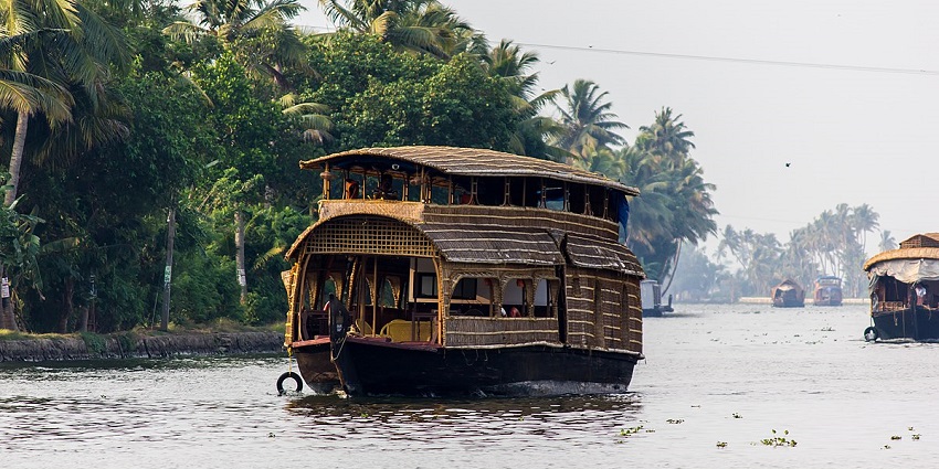 Witness the serene landscapes of Alappuzha, - one of the best things to do in Kerala.