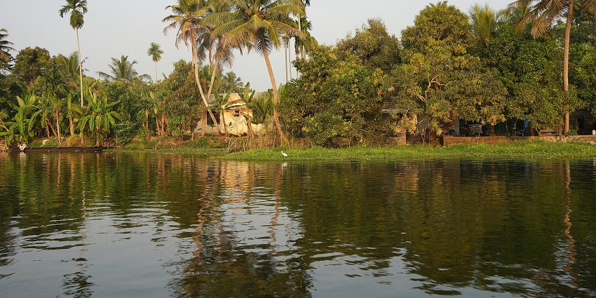 Alappuzha Backwaters is one of the most stunning places to enjoy a serene picnic.
