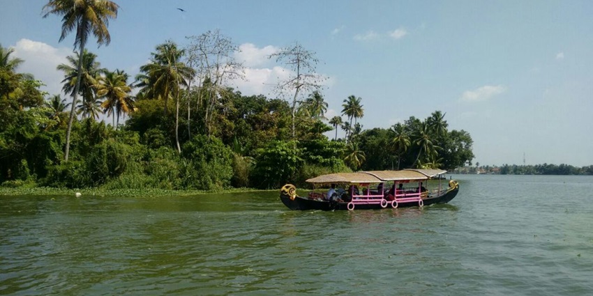 Enjoy a visit to the popular Alappuzha Beach Market in Kerala on your next vacation.