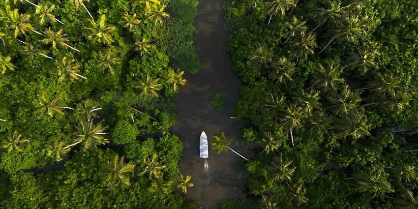 A view of the backwaters of Alleppey, one of the charming places to visit in South India