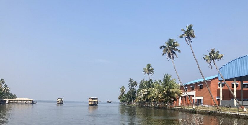 The view of Alleppey backwater and houseboats - best places to visit in Alleppey