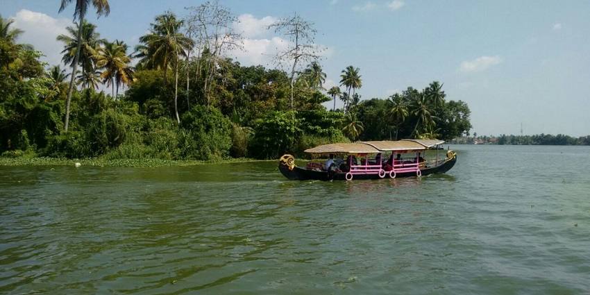 Scenic view of boat ride in Alleppey, Kerala, surrounded by lush green coconut tree