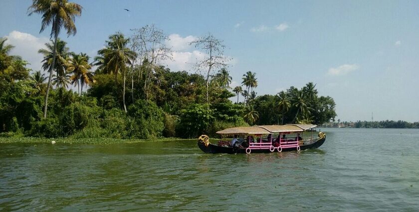 Scenic Alleppey in Kerala, known for its tranquil backwaters - things to do in Alleppey