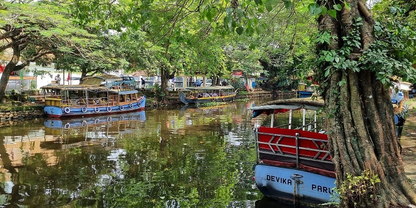 Glide through the Alleppey backwaters, one of the places to visit in Kerala with family.