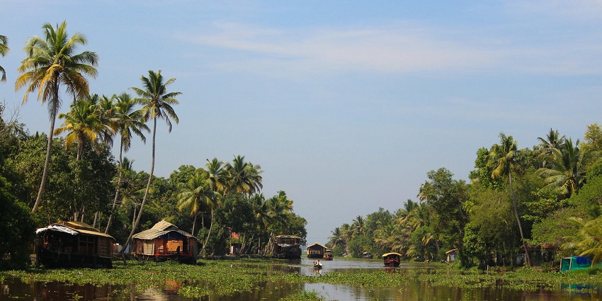 Scenic view of houses and houseboats in a river surrounded by tall palm trees in Kerala