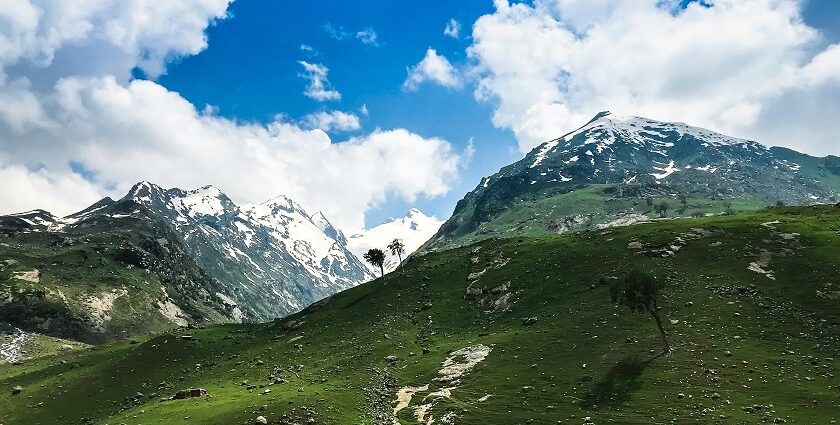 A breathtaking view of lush green grass near snow-covered mountains under dense clouds.