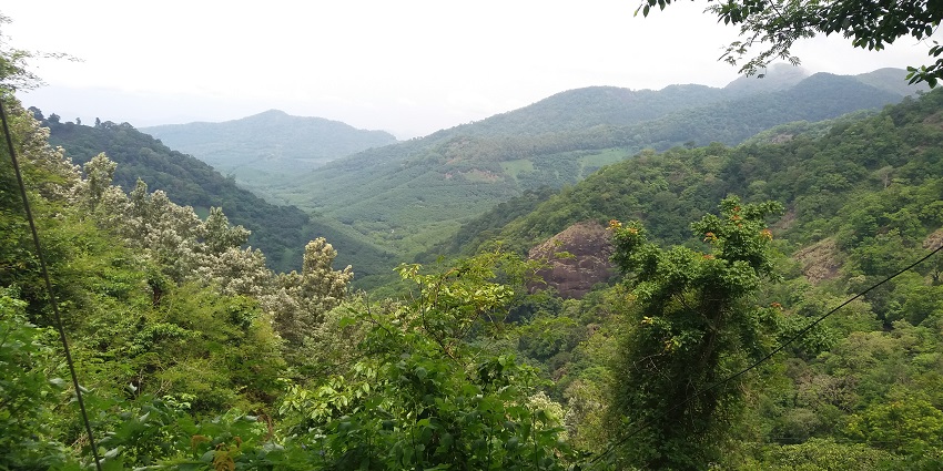 Serene landscape with lush greenery and rolling hills - visit the hill stations in Kollam