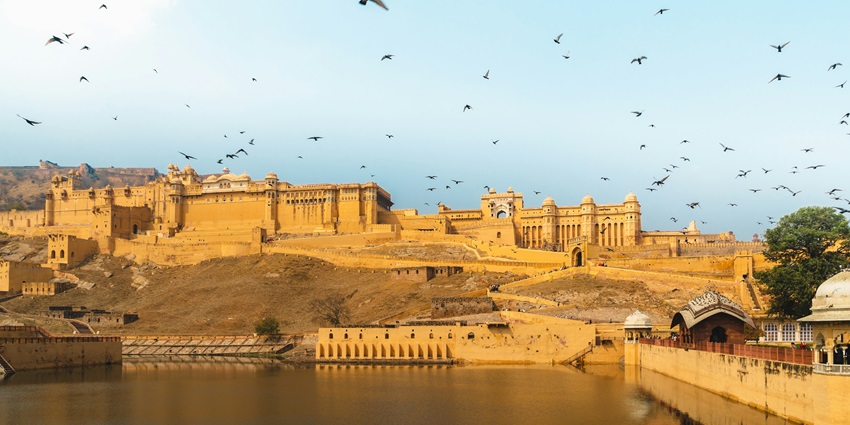 A breathtaking view of birds flying in the clear sky over Amber Fort in Jaipur, Rajasthan