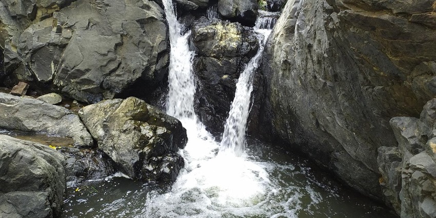 Head to Amirthi Zoological Park in Vellore near the Green Thunder Water Theme Park.