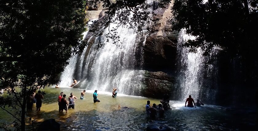 Experience the magic of the Anachadikuthu Waterfalls in Kerala for some unforgettable moments