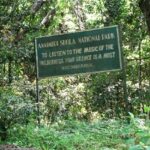 Explore the rich biodiversity and astonishing flora and fauna in Idukki national parks.