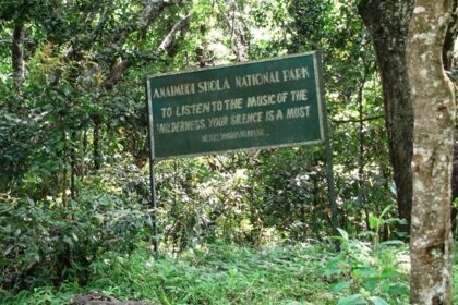 Explore the rich biodiversity and astonishing flora and fauna in Idukki national parks.