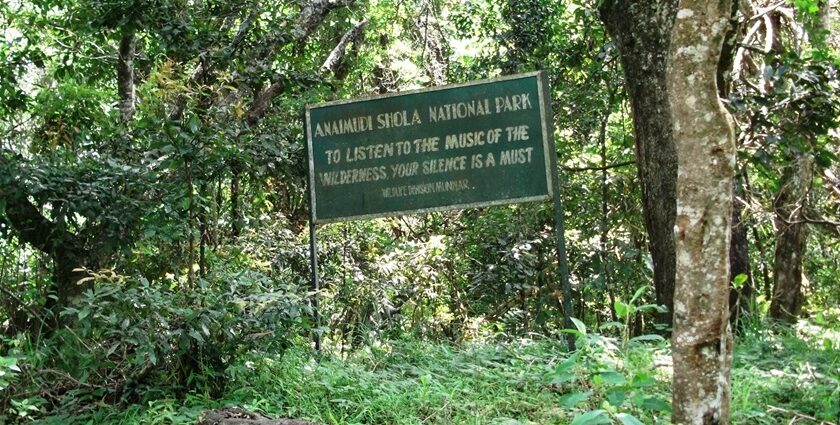 Explore the rich biodiversity and astonishing flora and fauna in Idukki national parks.