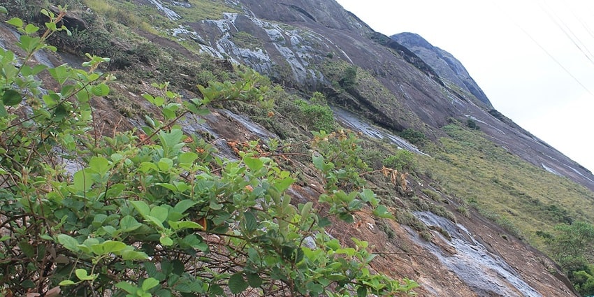 Green hills of Anamudi peak- one of the best places for tourist to escape away the city life