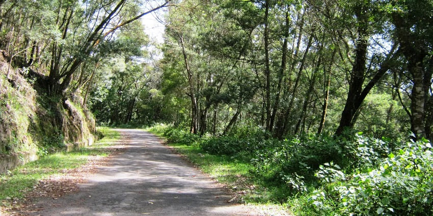 A view of the Anamudi Shola National Park, one of the top places to visit in Kanthalloor.