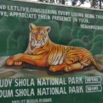 Located amidst rolling hills, Anamudi Shola National Park beckons all nature lovers.