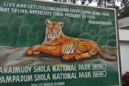 Located amidst rolling hills, Anamudi Shola National Park beckons all nature lovers.