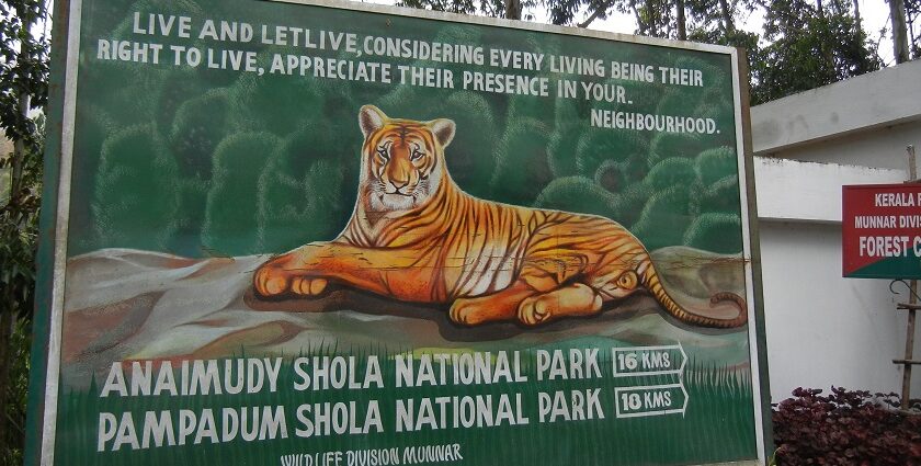 Located amidst rolling hills, Anamudi Shola National Park beckons all nature lovers.