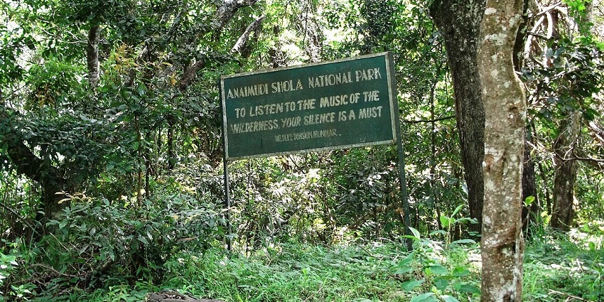 Exploring the Anamudi Shola National Park is one of the top things to do in Kanthalloor.