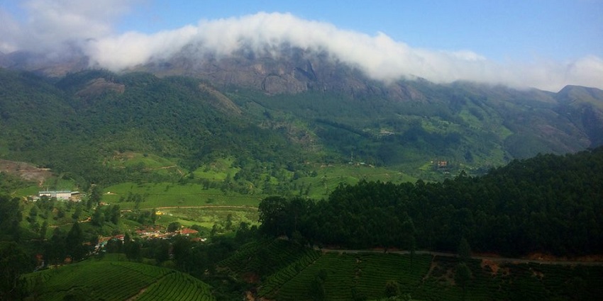 Anamudi peak is known as the highest peak in South India and lies in the Western Ghats