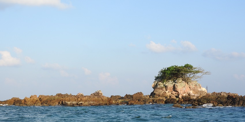 he shore of a beach with waves in sight, lined with tall and dense green trees.
