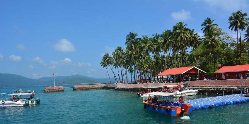 View of boats on the water at a dock with palm trees and mountains in the background