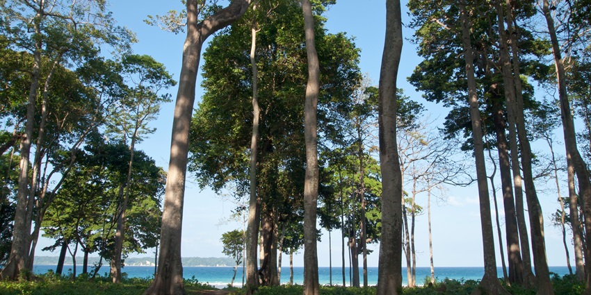 Choose the best trek for your next trip, keeping in mind the factors affecting it.