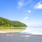 The view of an island with lush green forests along the azure waters of Andaman sea.