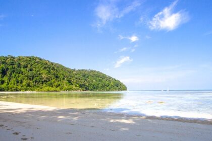 The view of an island with lush green forests along the azure waters of Andaman sea.