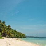 A distant daytime view of a white sand beach in Andaman with palm trees and clear skies