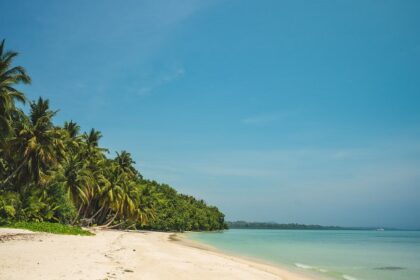 A distant daytime view of a white sand beach in Andaman with palm trees and clear skies