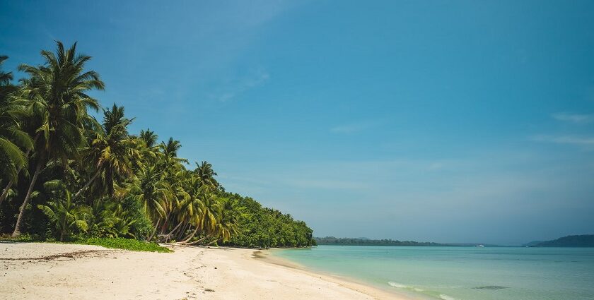 A distant daytime view of a white sand beach in Andaman with palm trees and clear skies