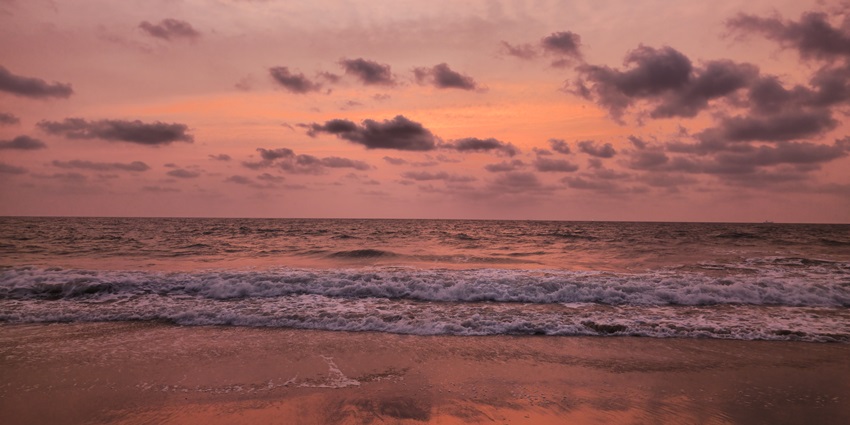 Famously called Dolphin Beach, Andhakaranazhi Beach is one of the best beaches in Kochi.