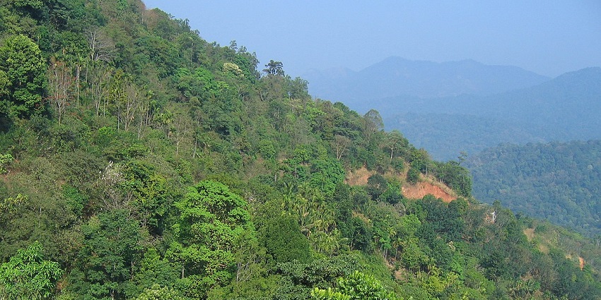 Anjumala Waterfall is one of the best places to visit near Aruvickachal Waterfalls.