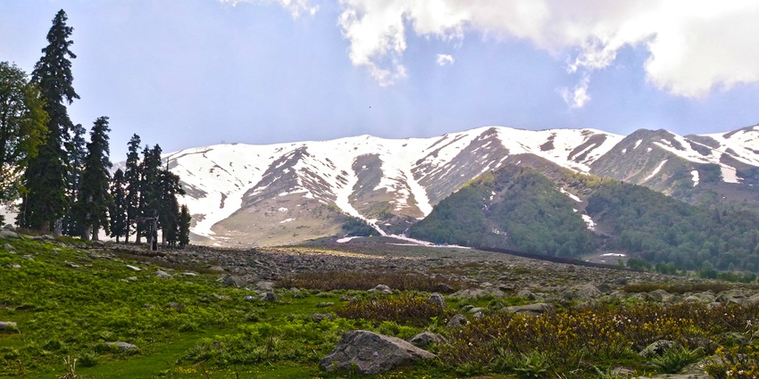 A scenic view of the lush green fields and snow-capped mountains of Apharwat Peak.