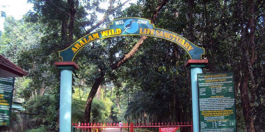 You can also watch out for Aralam Wildlife Sanctuary to witness the diverse wildlife.