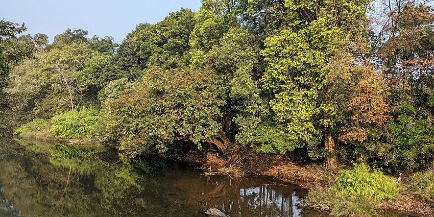 Dense forests, diverse wildlife, and serene natural beauty - hill stations in Kannur