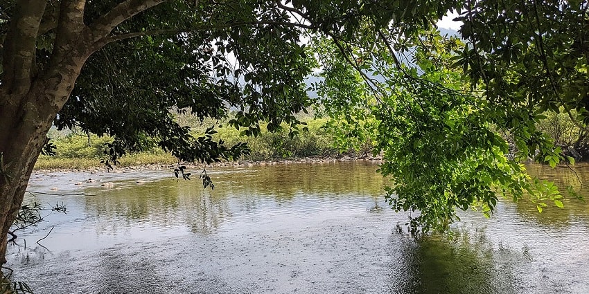 Aralam Wildlifе Sanctuary is one of the best places to visit around Chooral Waterfalls.