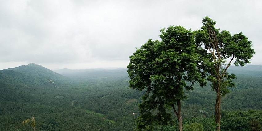 Also called Mini Ooty, the Arimbra hills is a charming tourist attraction in Kerala
