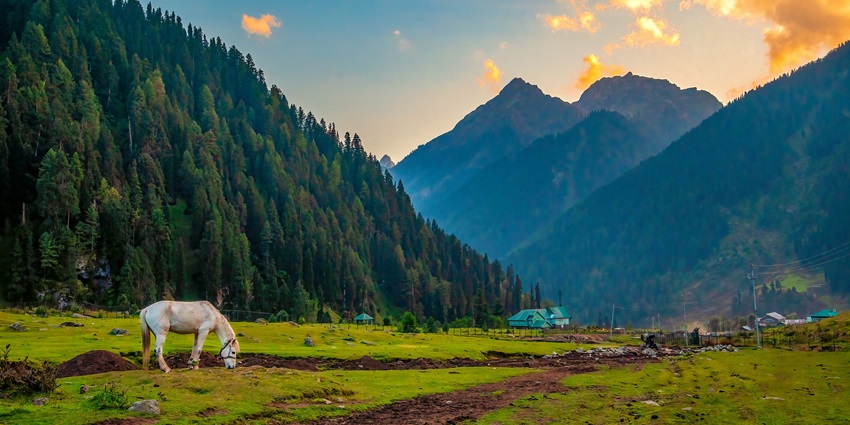 Aru Valley is home to picturesque meadows and a go-to place for trekkers in the Kashmir