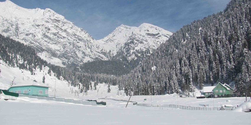 View of the green paddy fields in Aru Valley, one of the places in Kashmir to visit in March