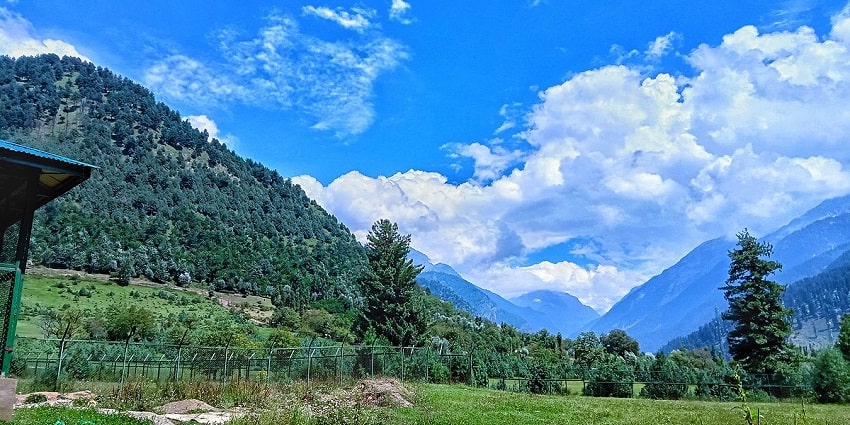 Aru Wildlife Sanctuary is a tourist hotspot that is home to range of flora and fauna