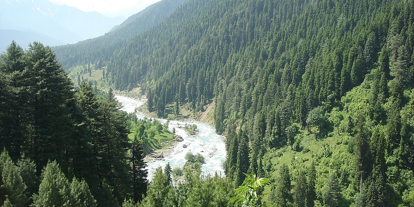 View of lush greenery in Aru Valley, one of the best places to visit in Kashmir in May.