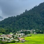 A cross-section of lush green valley in Ziro - places to visit in north east India