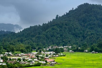 A cross-section of lush green valley in Ziro - places to visit in north east India